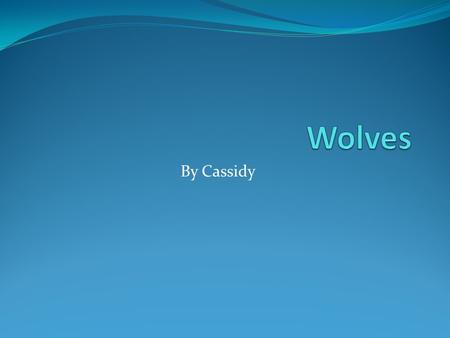 By Cassidy. FACTS ABOUT THE WOLF SIZE: The size of a wolf Is 2.6 to 6.5 feet. Body covering and color: The wolf is covered with fur that is black, grey.