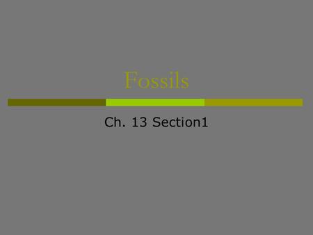 Fossils Ch. 13 Section1. Fossils  Remains, imprints, or traces of prehistoric organisms  Scientists who study fossils are paleontologists.  Fossils.