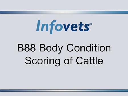 B88 Body Condition Scoring of Cattle. Lesson Outline  Introduction  Numerical Scoring System 1-9  Terms  Guidelines for Body Condition Scores  Nutritional.
