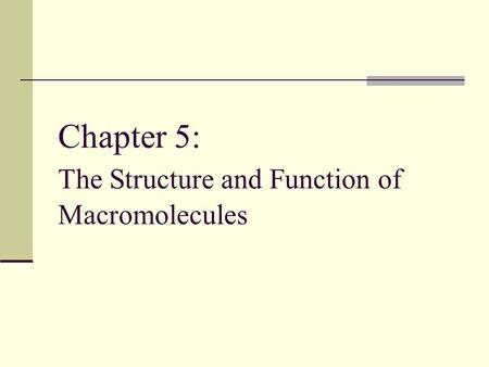 Chapter 5: The Structure and Function of Macromolecules.