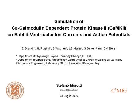 Simulation of Ca-Calmodulin Dependent Protein Kinase II (CaMKII) on Rabbit Ventricular Ion Currents and Action Potentials E Grandi*, JL Puglisi*, S Wagner.