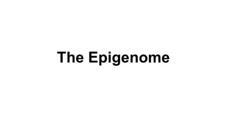 The Epigenome. Introduction: Go to this linkthis link Once there play with the DNA 1.What do these different tags have to do with epigenetic expression.