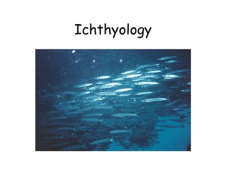 Ichthyology.