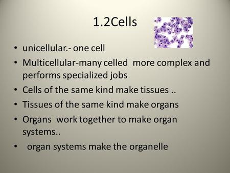 1.2Cells unicellular.- one cell Multicellular-many celled more complex and performs specialized jobs Cells of the same kind make tissues.. Tissues of the.