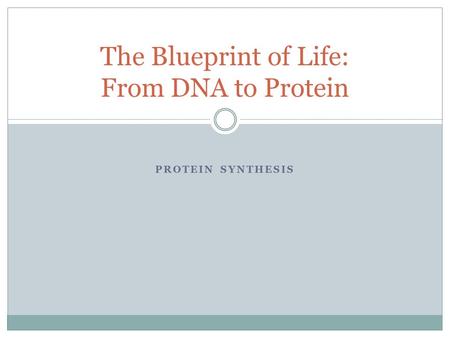 PROTEIN SYNTHESIS The Blueprint of Life: From DNA to Protein.