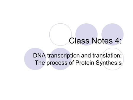 Class Notes 4: DNA transcription and translation: The process of Protein Synthesis.