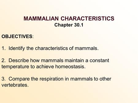 MAMMALIAN CHARACTERISTICS Chapter 30.1 OBJECTIVES: 1. Identify the characteristics of mammals. 2. Describe how mammals maintain a constant temperature.