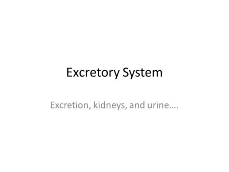 Excretory System Excretion, kidneys, and urine…..