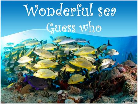 Wonderful sea Guess who. I’m eated by people I’m a very large bony fish. I live in the ocean.