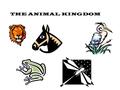 THE ANIMAL KINGDOM What characteristics do all animals have in common? How are animals classified into groups? KINGDOM PHYLUM CLASS ORDER FAMILY GENUS.