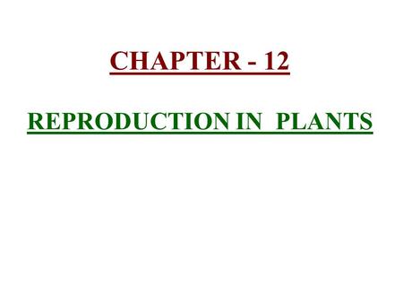 CHAPTER - 12 REPRODUCTION IN PLANTS. 1) Reproduction :- Reproduction :- is the production of new individuals from their parents. The vegetative parts.