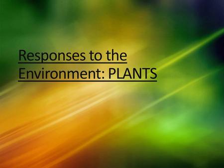 Responses to the Environment: PLANTS. Plant responses are also controlled by hormones. Significant hormones in plants are: 1)AUXINS = an important role.