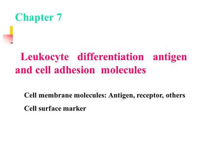 Chapter 7 Leukocyte differentiation antigen and cell adhesion molecules Cell membrane molecules: Antigen, receptor, others Cell surface marker.