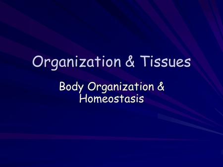 Organization & Tissues Body Organization & Homeostasis.