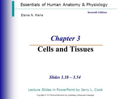 Essentials of Human Anatomy & Physiology Copyright © 2003 Pearson Education, Inc. publishing as Benjamin Cummings Slides 3.38 – 3.54 Seventh Edition Elaine.