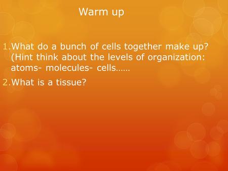 Warm up 1.What do a bunch of cells together make up? (Hint think about the levels of organization: atoms- molecules- cells…… 2.What is a tissue?