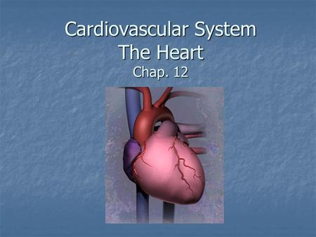 Cardiovascular System The Heart Chap. 12. The Cardiovascular system is comprised of the heart, blood vessels, & blood The heart acts as a “pump”, creating.