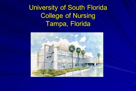 University of South Florida College of Nursing Tampa, Florida.