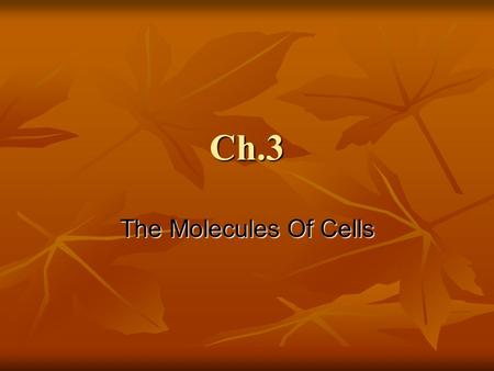 Ch.3 The Molecules Of Cells What kind of molecule is spider silk? What kind of molecule is spider silk? A protein A protein What molecule codes for all.