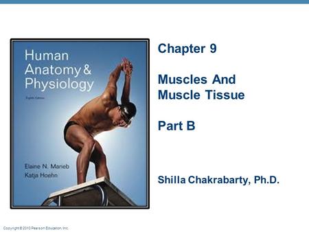 Copyright © 2010 Pearson Education, Inc. Chapter 9 Muscles And Muscle Tissue Part B Shilla Chakrabarty, Ph.D.