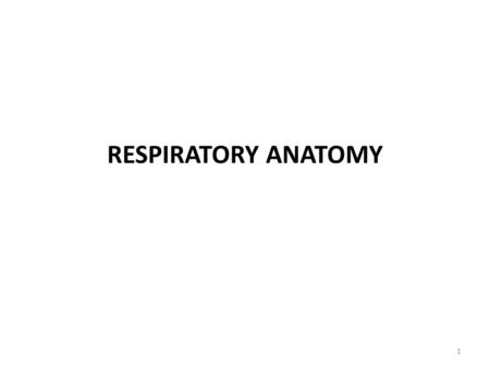 1 RESPIRATORY ANATOMY. 2 The primary role of the respiratory system is to: 1. deliver oxygenated air to blood 2. remove carbon dioxide from blood The.