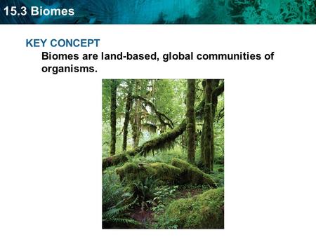 15.3 Biomes KEY CONCEPT Biomes are land-based, global communities of organisms.
