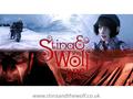 Stina and the Wolf RPG www.stinaandthewolf.co.uk.