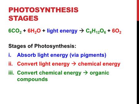PHOTOSYNTHESIS STAGES 6CO 2 + 6H 2 O + light energy  C 6 H 12 O 6 + 6O 2 Stages of Photosynthesis: i.Absorb light energy (via pigments) ii.Convert light.