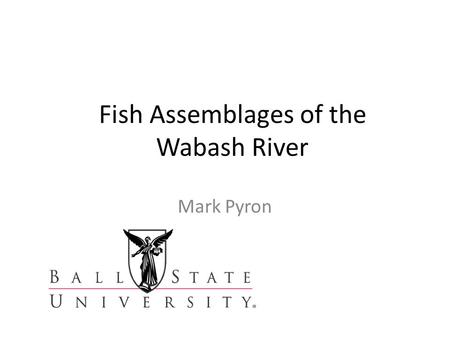 Fish Assemblages of the Wabash River Mark Pyron. Wabash River Fishes 1.Large river 2.High diversity 3.History of human impact 4.Fish assemblages respond.