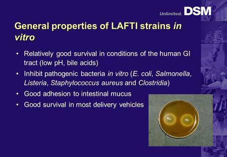 General properties of LAFTI strains in vitro Relatively good survival in conditions of the human GI tract (low pH, bile acids) Inhibit pathogenic bacteria.