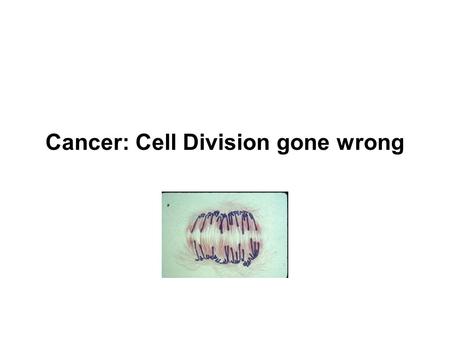 Cancer: Cell Division gone wrong. Mistakes Happen Copying 46 chromosomes is equivalent to making a million copies of all the hard drives in the world.