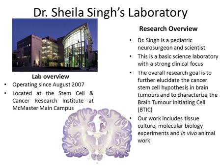 Dr. Sheila Singh’s Laboratory Lab overview Operating since August 2007 Located at the Stem Cell & Cancer Research Institute at McMaster Main Campus Research.