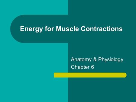 Energy for Muscle Contractions Anatomy & Physiology Chapter 6.