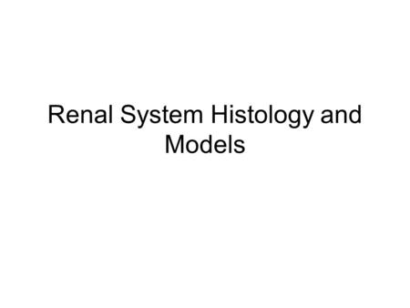 Renal System Histology and Models. Types of kidney stones.