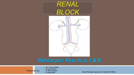 Pathology Practical I & II
