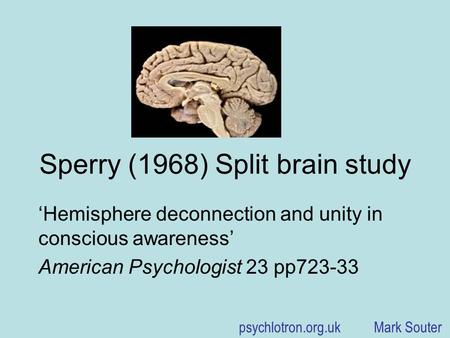 psychlotron.org.uk Mark Souter Sperry (1968) Split brain study ‘Hemisphere deconnection and unity in conscious awareness’ American Psychologist 23 pp723-33.
