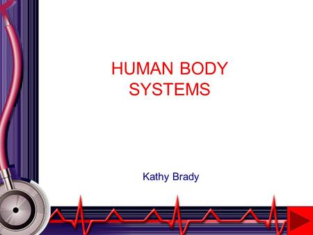HUMAN BODY SYSTEMS Kathy Brady INTRODUCTION This project will introduce the student to various body systems covered in Biology. The following systems.