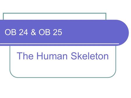 OB 24 & OB 25 The Human Skeleton. Learning Objectives OB24 identify the main parts of the human skeleton and understand that the functions are support,