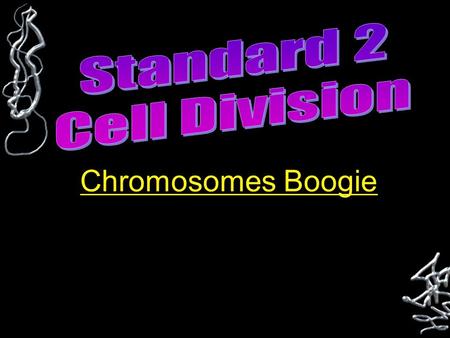 Chromosomes Boogie. Chromosome Condensed form of chromatin A threadlike structure of nucleic acids and protein Always paired with an identical copy of.