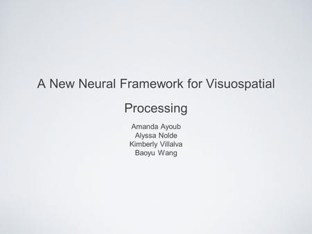 A New Neural Framework for Visuospatial Processing Amanda Ayoub Alyssa Nolde Kimberly Villalva Baoyu Wang.