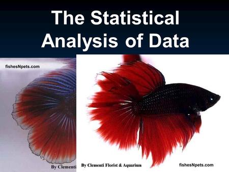The Statistical Analysis of Data. Outline I. Types of Data A. Qualitative B. Quantitative C. Independent vs Dependent variables II. Descriptive Statistics.