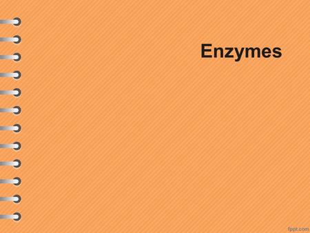 Enzymes.  Proteins play major roles in the cell, but none as important as making up enzymes.  Enzymes permit reactions to occur at rates of thousands.
