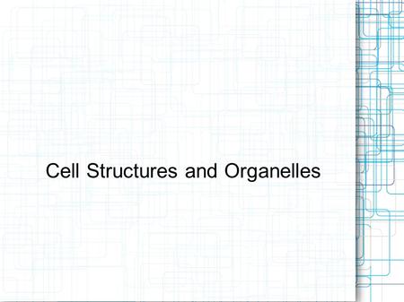 Cell Structures and Organelles. Cell Theory 1) All living things are composed of cells. 2) Cells are the basic units of structure and function in living.