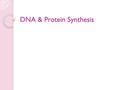 DNA & Protein Synthesis. The Major Players & Their Work James Watson and Francis Crick (1953) ◦ double-helical model for DNA structure ◦ substance of.