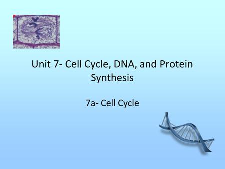 Unit 7- Cell Cycle, DNA, and Protein Synthesis 7a- Cell Cycle.