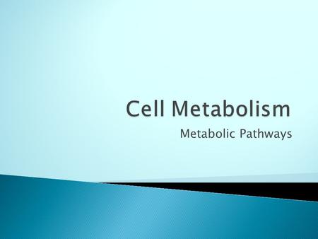 Cell Metabolism Metabolic Pathways.