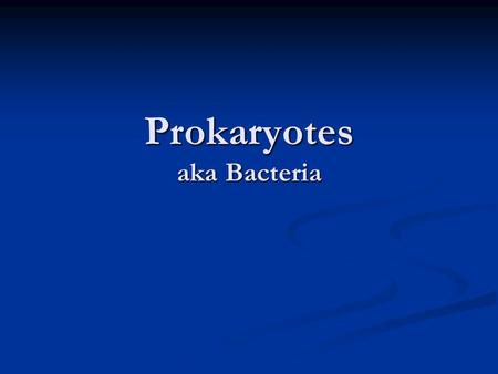 Prokaryotes aka Bacteria