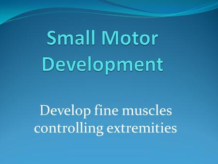 Develop fine muscles controlling extremities. Small Motor Skills Reflexes Timing Dexterity Handedness.