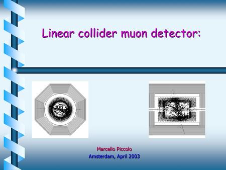 Linear collider muon detector: Marcello Piccolo Amsterdam, April 2003.