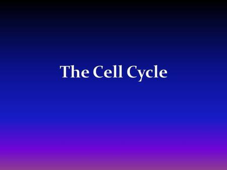 Cell  Tissue  Organ  Organ System  Organism **Cells must divide and create many cells in order for this process to occur.